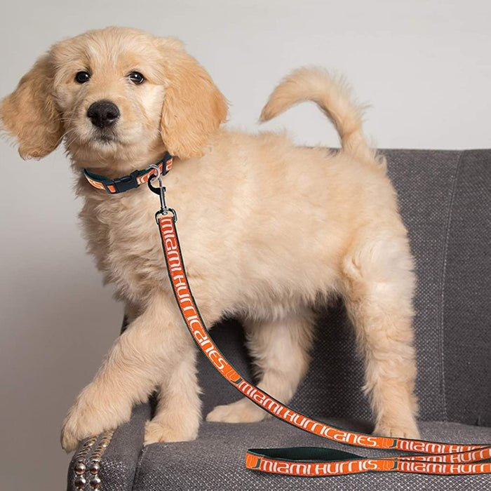 MIA Hurricanes Dog Leash - 3 Red Rovers
