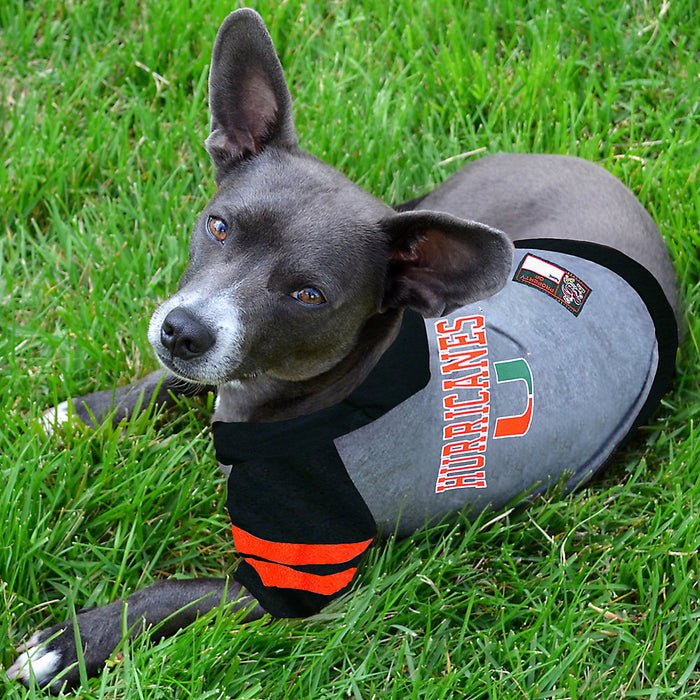 MIA Hurricanes Lightweight Pet Hoodie - 3 Red Rovers