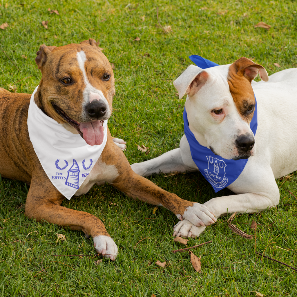 San Diego Padres Dog Jerseys, Padres Pet Carriers, Harness, Bandanas,  Leashes