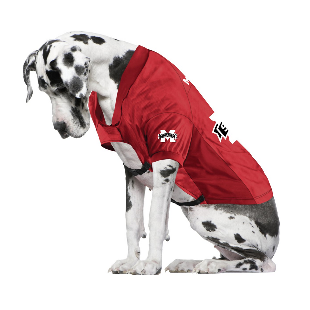 Xxl 2024 dog jersey