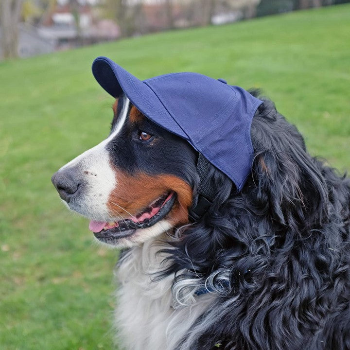 Officially Licensed NFL Indianapolis Colts Pet Baseball Hat