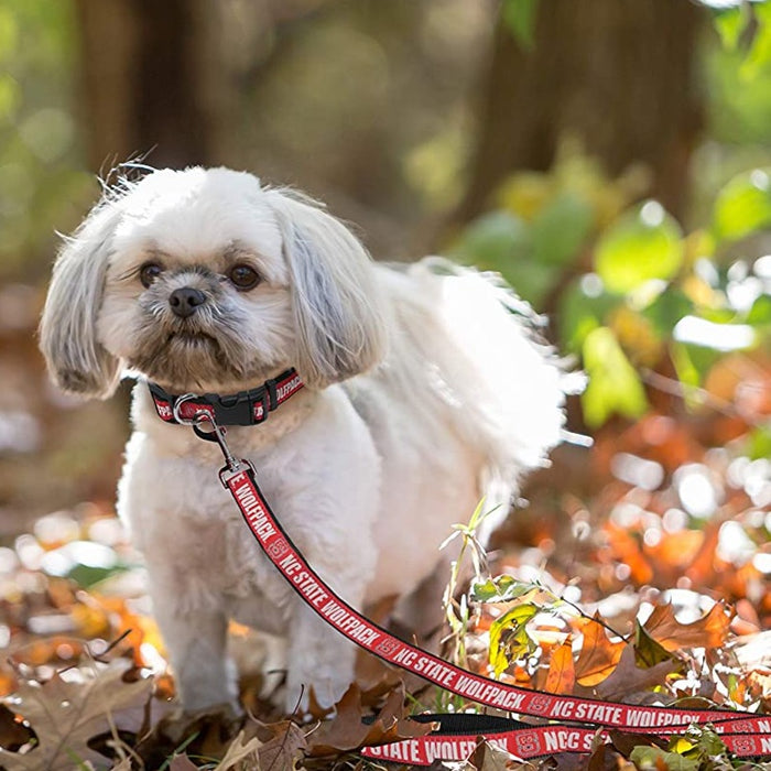 NC State Wolfpack Dog Leash - 3 Red Rovers