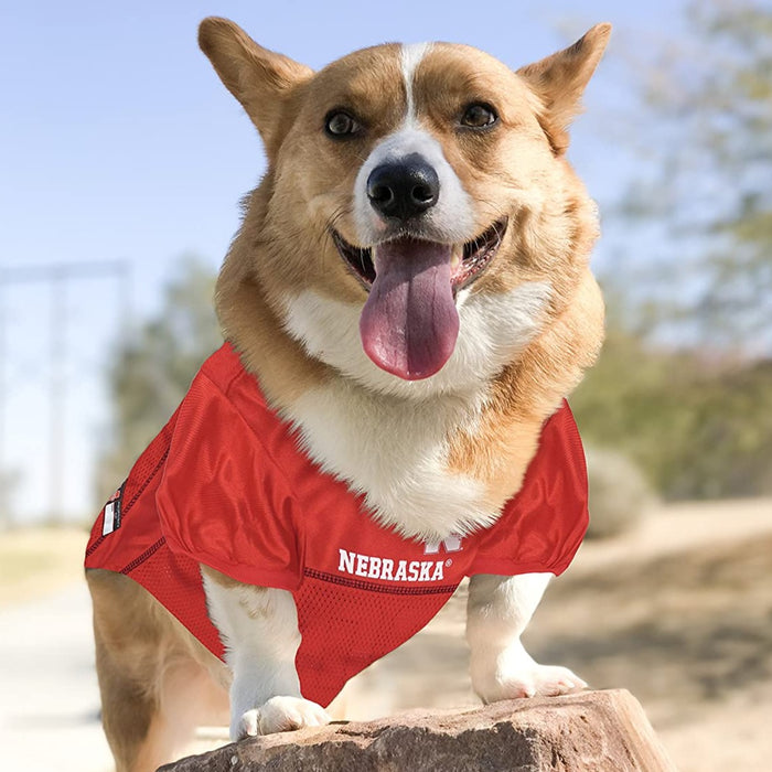 NE Cornhuskers Pet Jersey - 3 Red Rovers