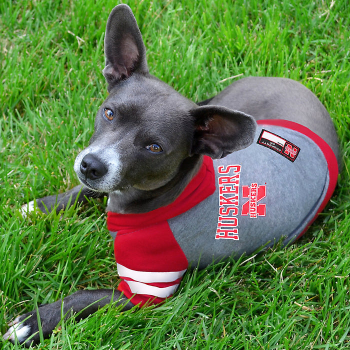 NE Cornhuskers Lightweight Pet Hoodie - 3 Red Rovers