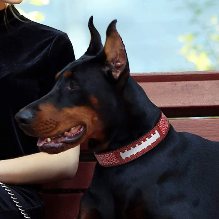OH State Buckeyes Pro Dog Collar - 3 Red Rovers