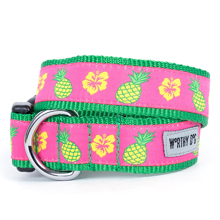 Pineapples Collection Dog Collar or Leads - 3 Red Rovers