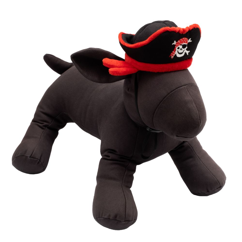 Birthday Pirate Hat & Toy – 3 Red Rovers