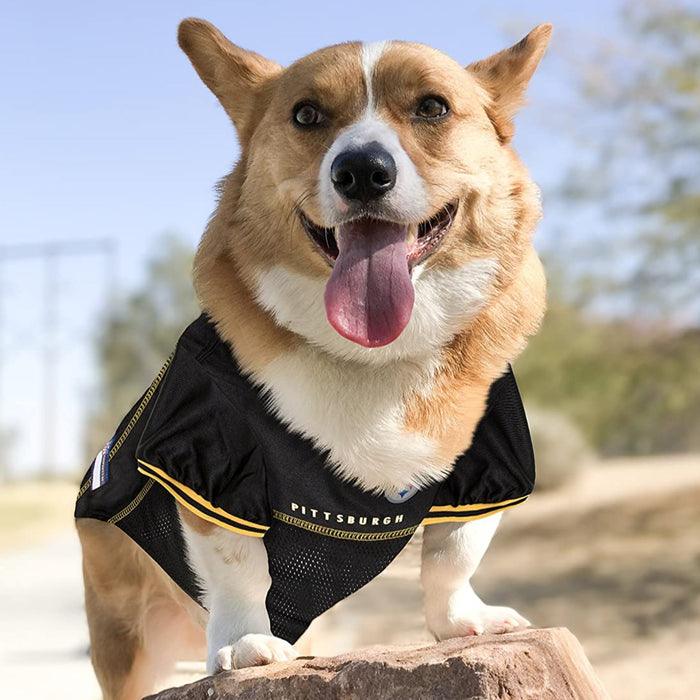 Pittsburgh Steelers Pet Jersey - 3 Red Rovers