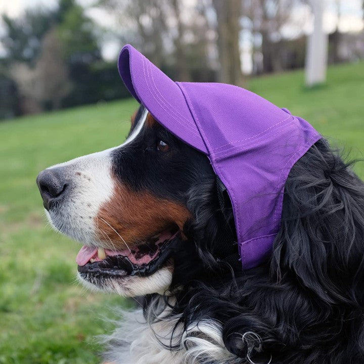 Minnesota Vikings Pet Baseball Hat – 3 Red Rovers