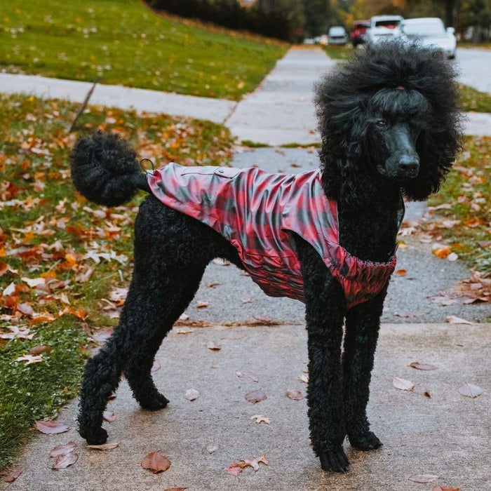 Red Buffalo Plaid London Raincoat - 3 Red Rovers