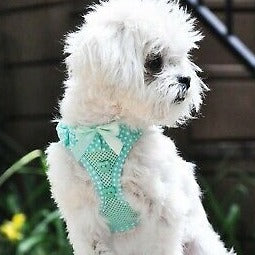 American River Choke Free Dog Harness™ - Teal/White Polka Dots
