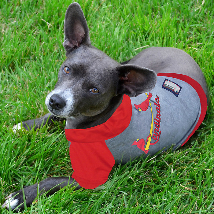 St Louis Cardinals Lightweight Pet Hoodie - 3 Red Rovers
