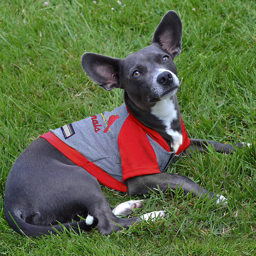 St. Louis Cardinals Hooded Dog T-Shirt