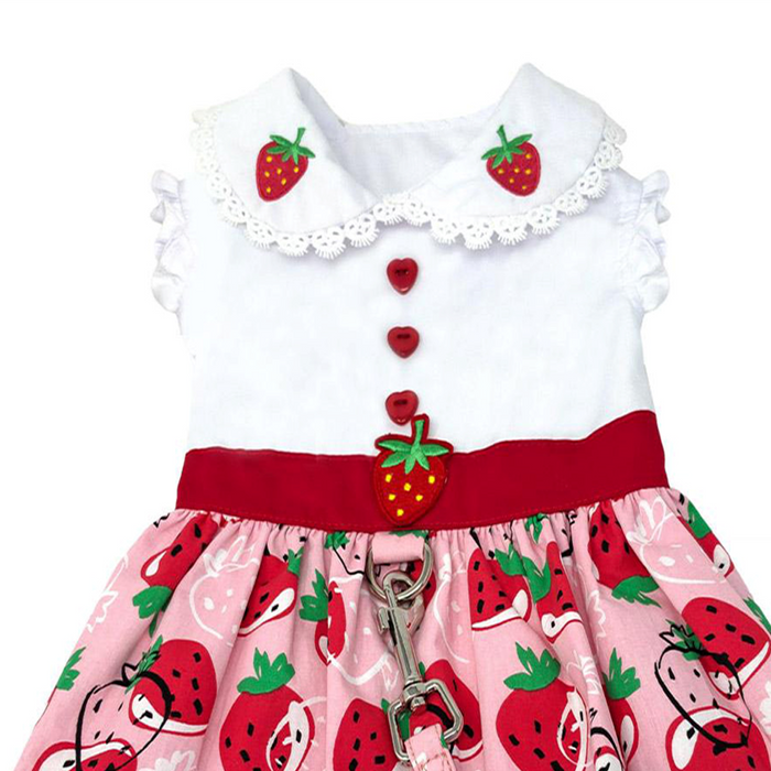 Strawberry Picnic Dress with Matching Leash - 3 Red Rovers