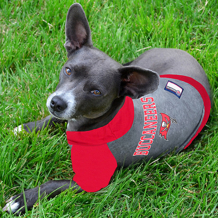 Tampa Bay Buccaneers Lightweight Pet Hoodie - 3 Red Rovers