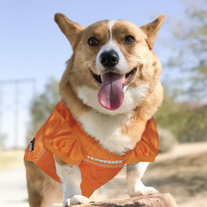 TN Volunteers Pet Jersey - 3 Red Rovers