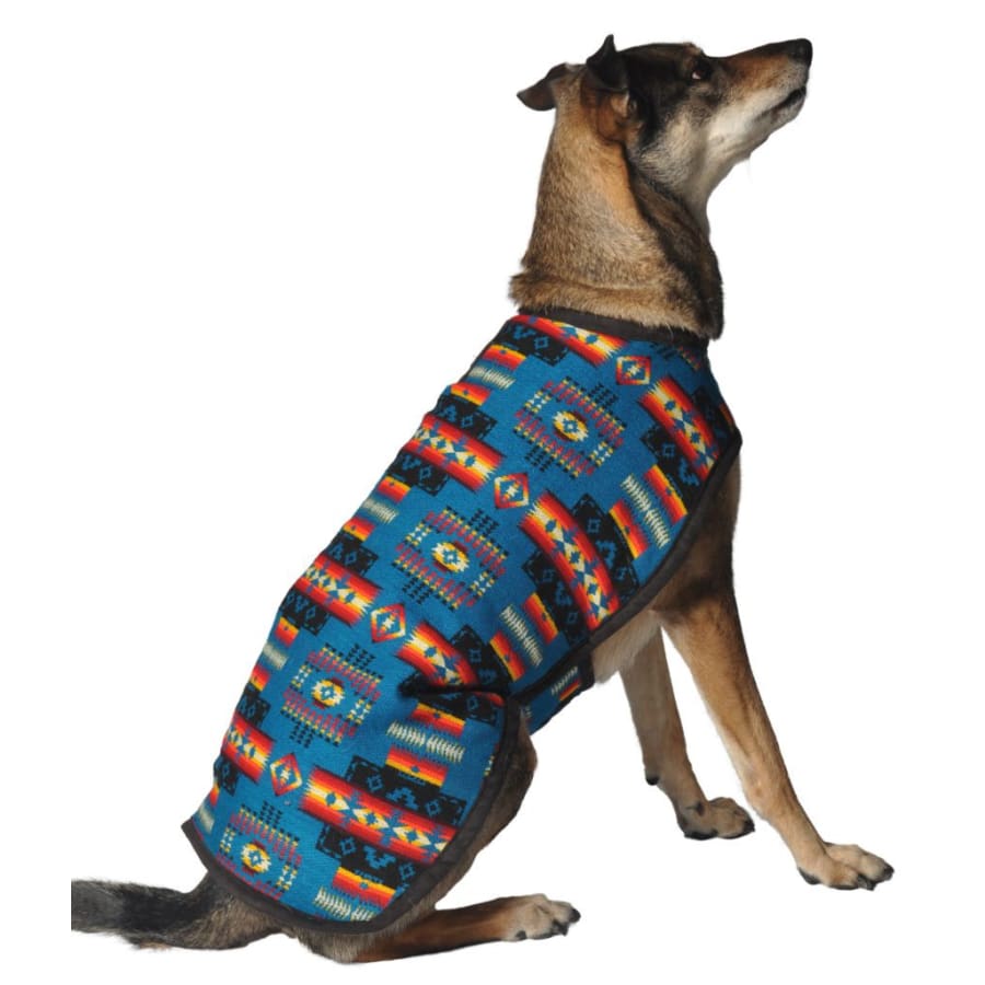 Turquoise Southwest Pet Blanket Coat