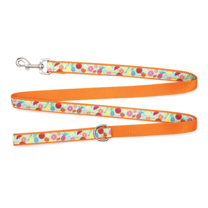 Tutti Frutti Collection Dog Collar or Leads - 3 Red Rovers