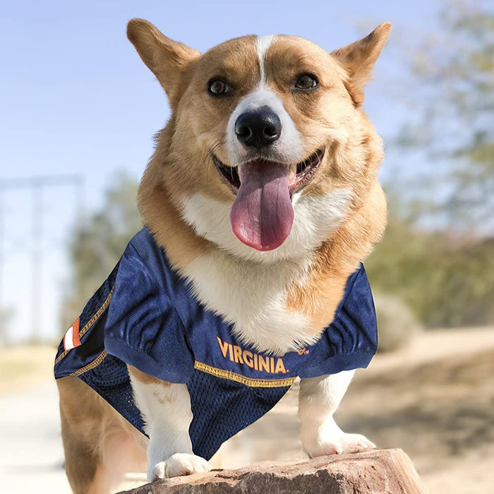 VA Cavaliers Pet Jersey - 3 Red Rovers