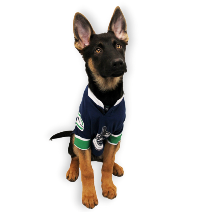 Canucks pet hot sale jersey