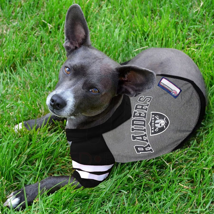 Vegas Raiders Lightweight Pet Hoodie - 3 Red Rovers