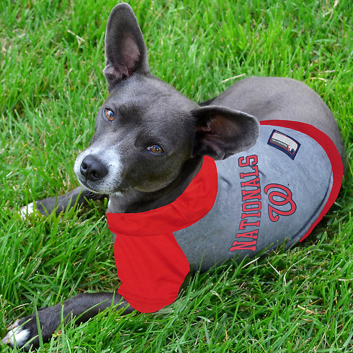 Washington Nationals Lightweight Pet Hoodie - 3 Red Rovers
