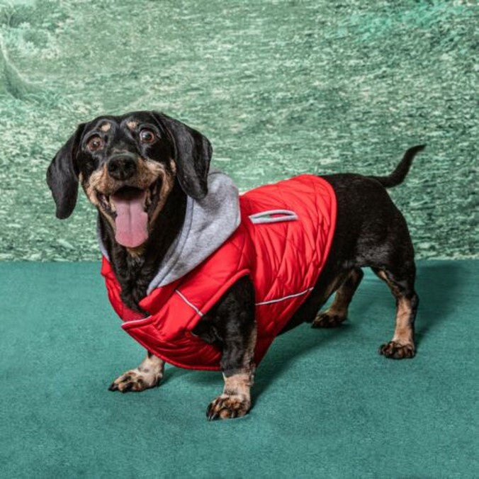 Weekender Sweatshirt Hoodie - Red - 3 Red Rovers