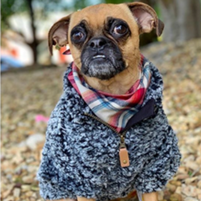 Navy Wubby Fleece Pullovers 1 4 Zip Pull 3 Red Rovers