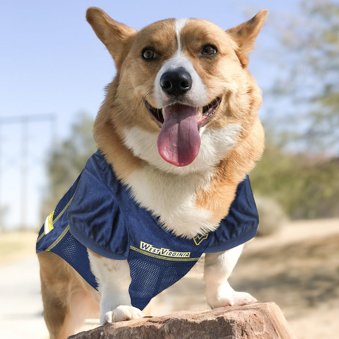 WV Mountaineers Pet Jersey - 3 Red Rovers