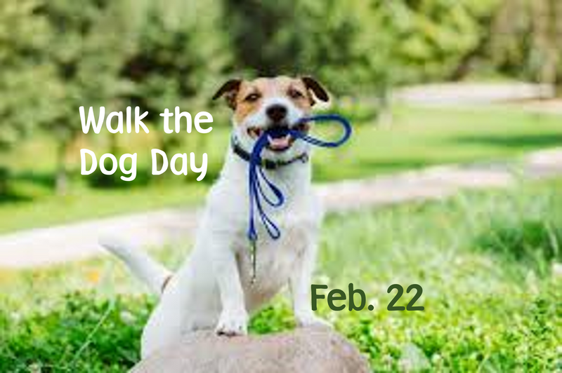 National Walk the Dog Day - February 22