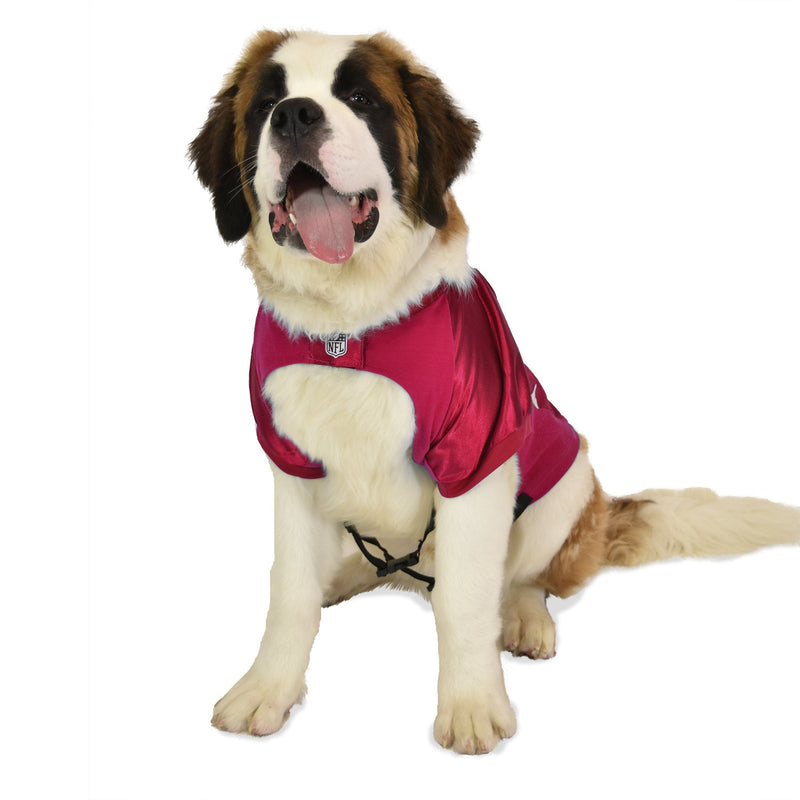 Big Dog Apparel