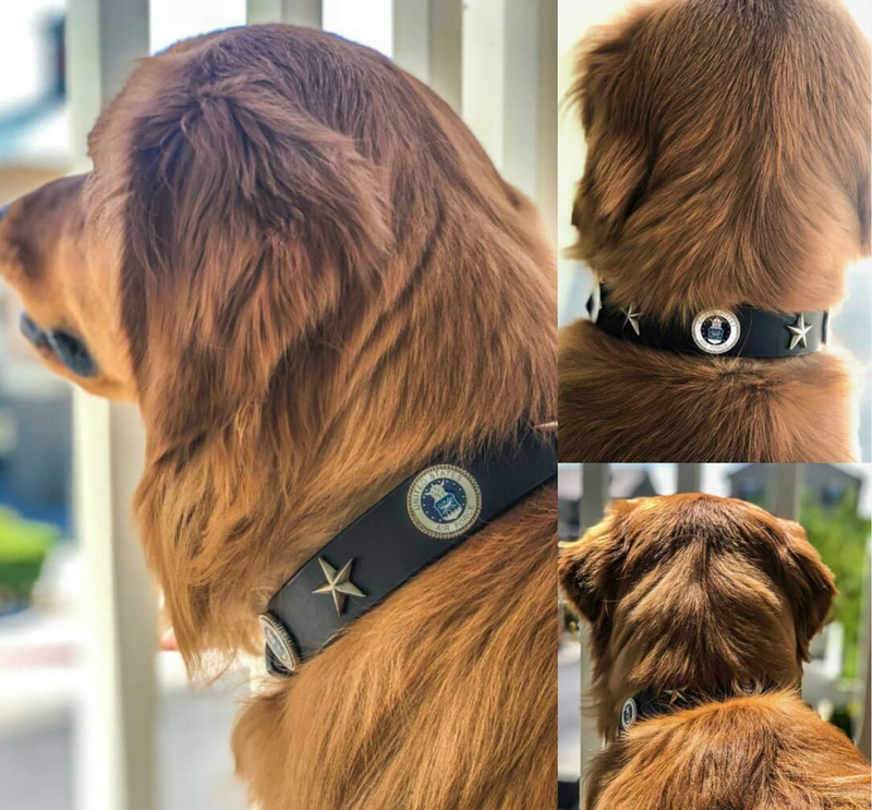 Service Collars
