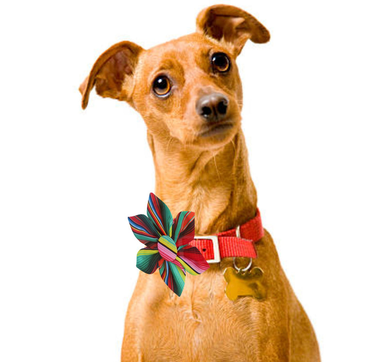 Bandanas, Bows and Scarfs