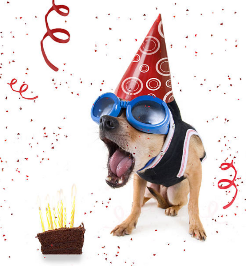 Birthdays