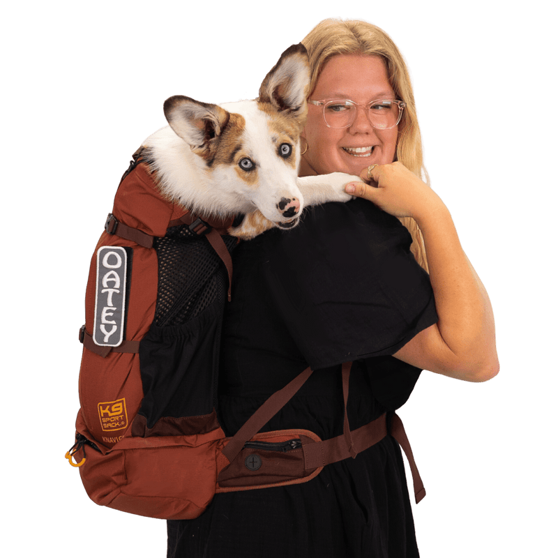 Carriers & Bags