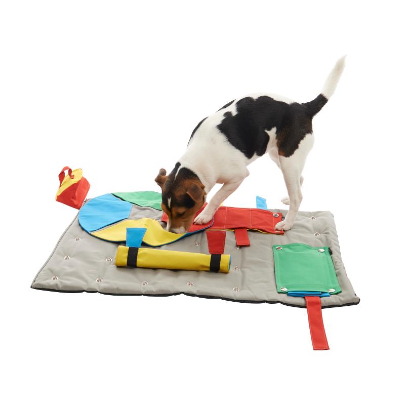 BUSTER ActivityMat