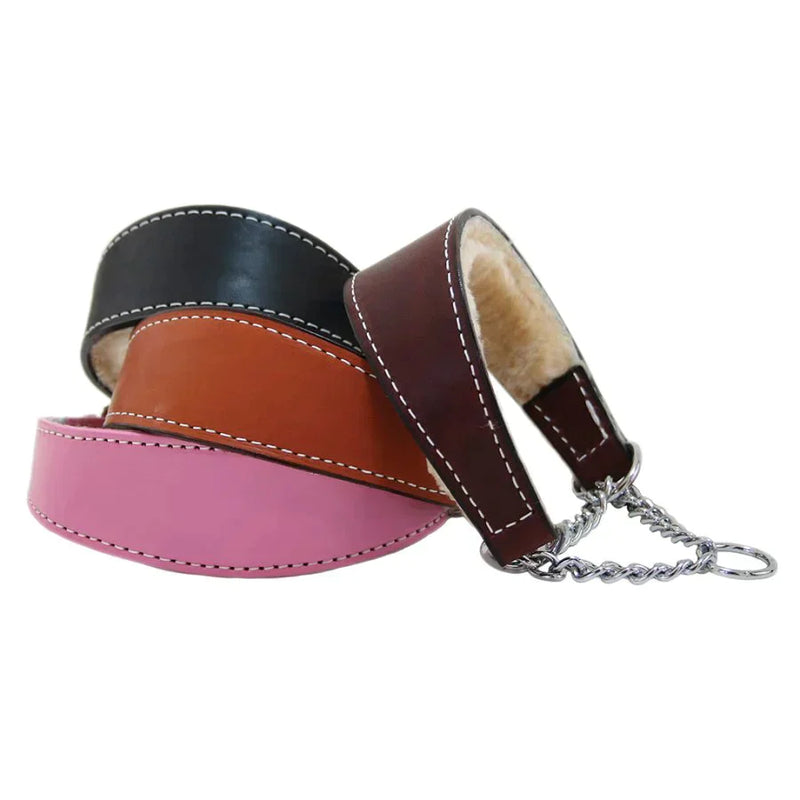 Collars | Leashes | Harnesses