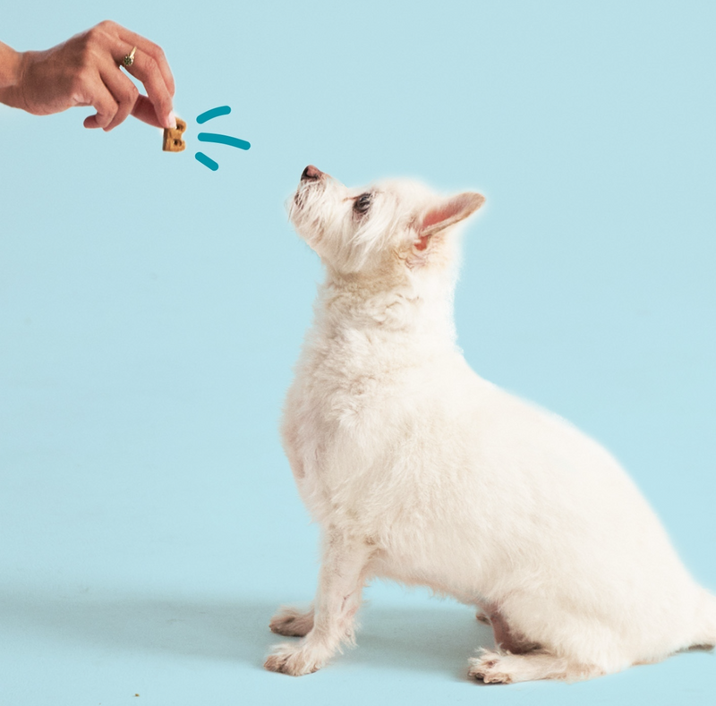 Treats
