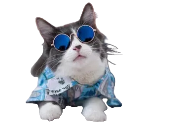 Cat Apparel