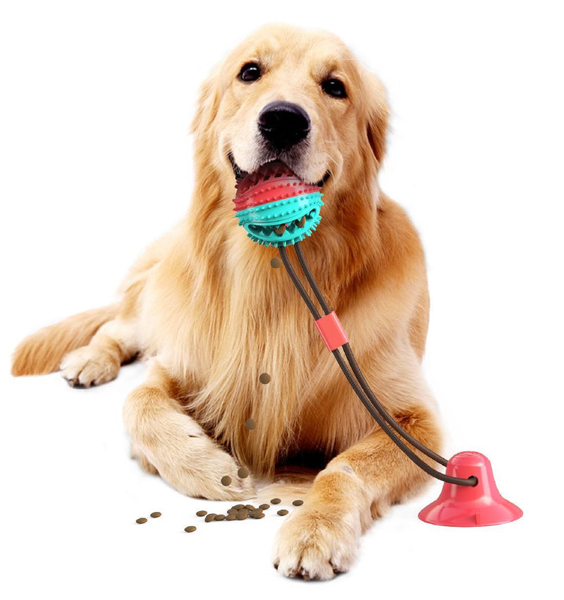 Dog Toys