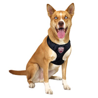 MS State Bulldogs Velvet Harness