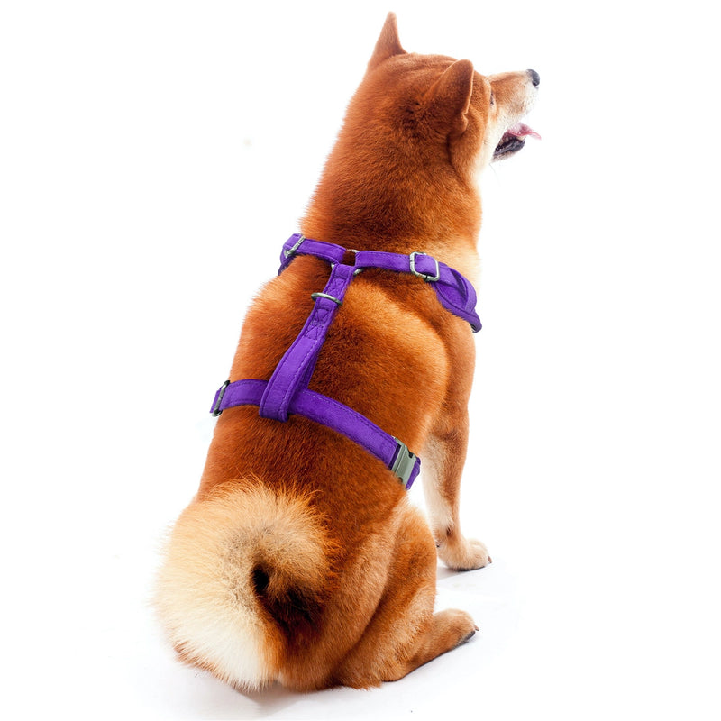 LSU Tigers Velvet Harness