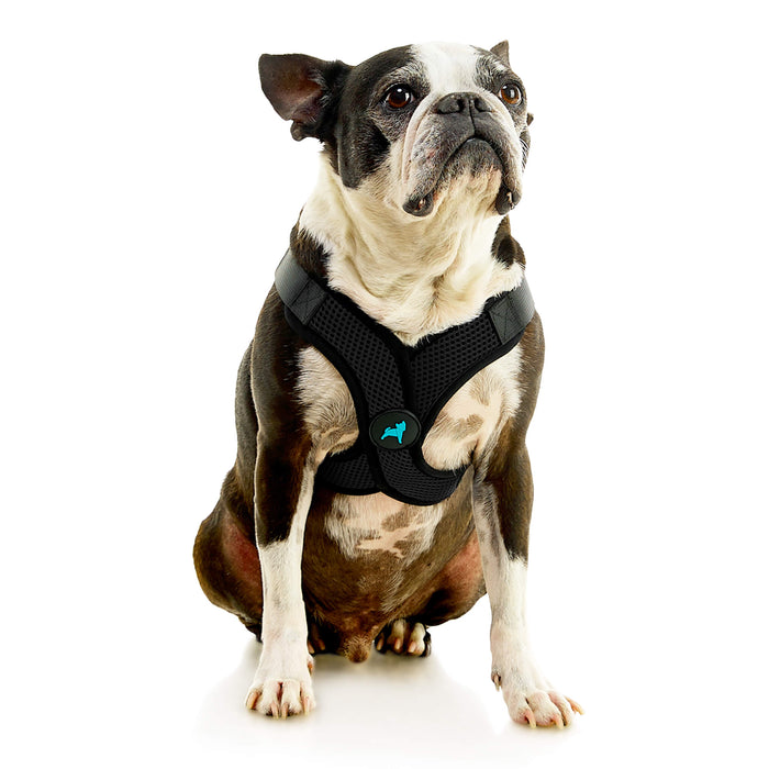 Comfort X Step In Lite