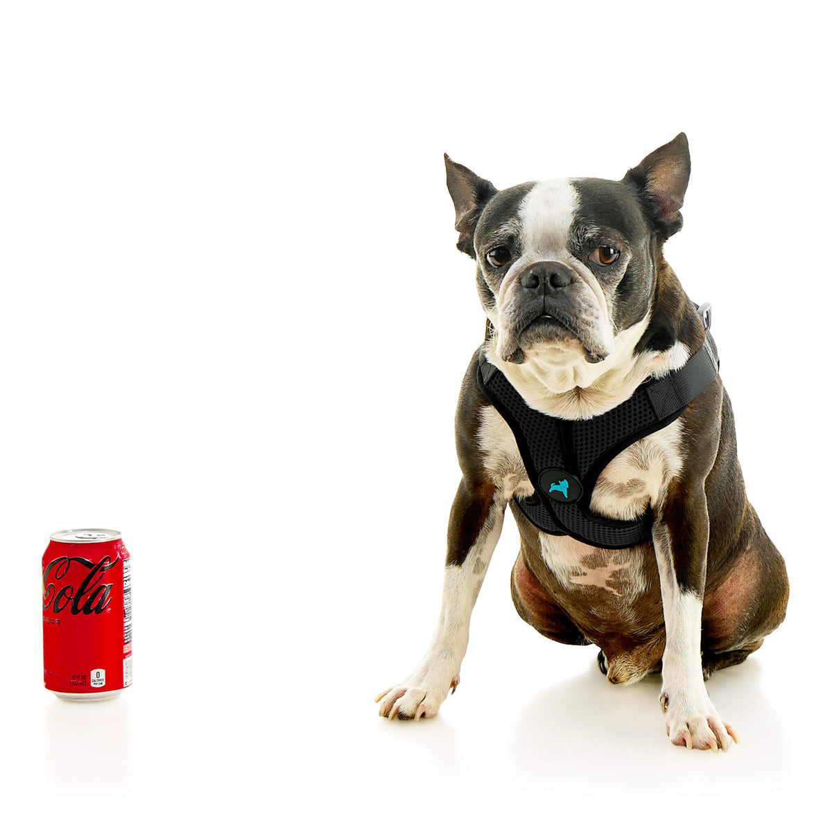 Comfort X Step In Lite