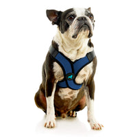 Comfort X Step In Lite