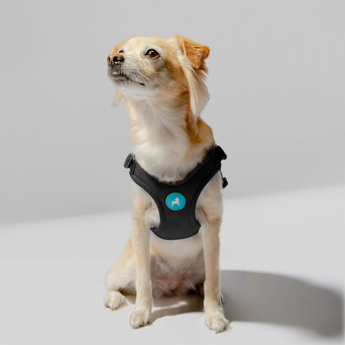 Escape Free Sport Harness