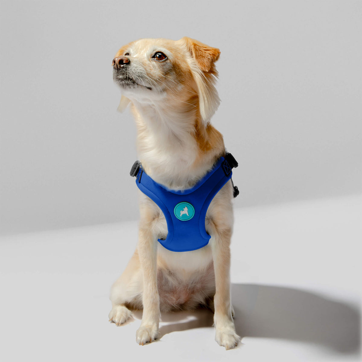 Escape Free Sport Harness