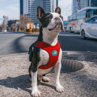 Escape Free Sport Harness