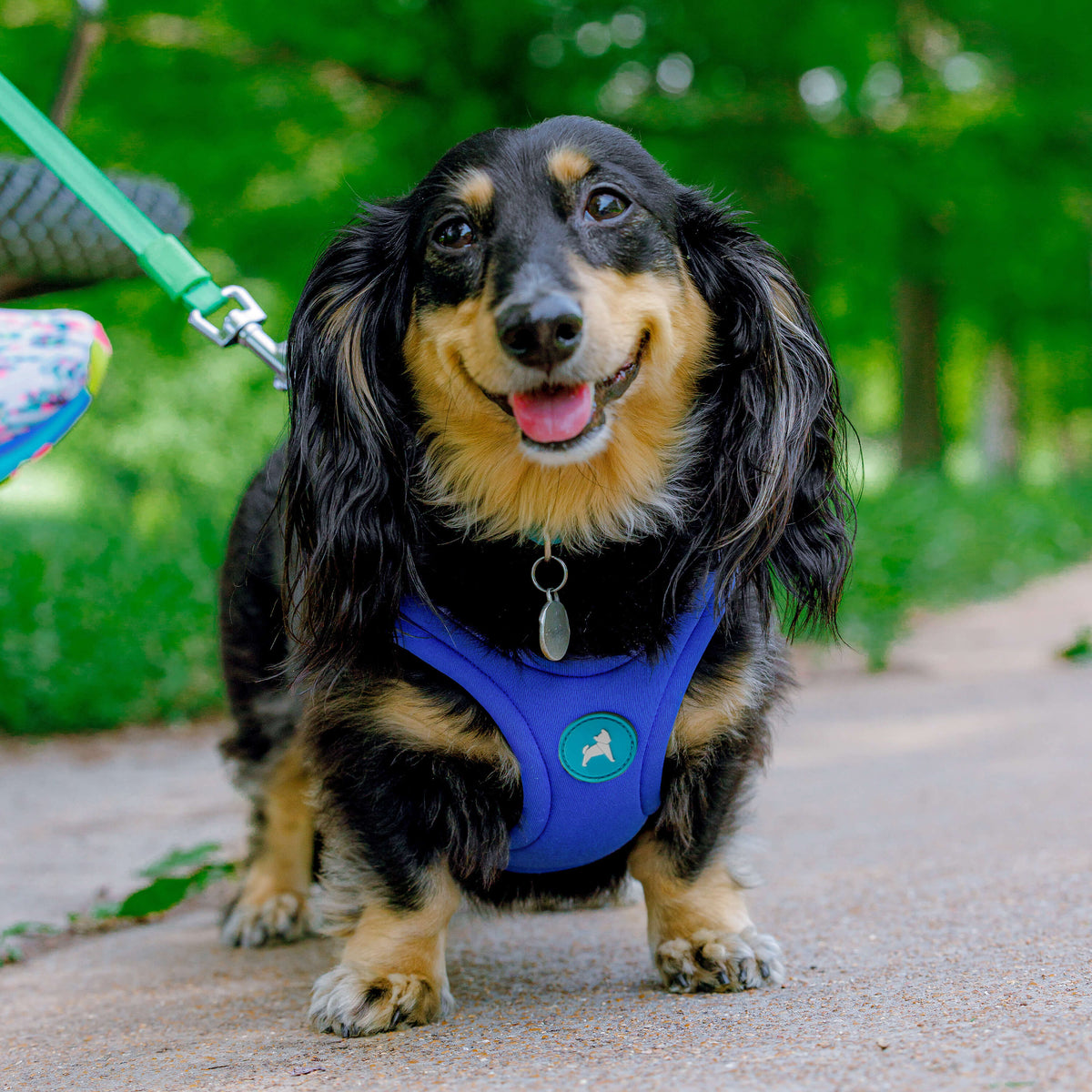 Escape Free Sport Harness