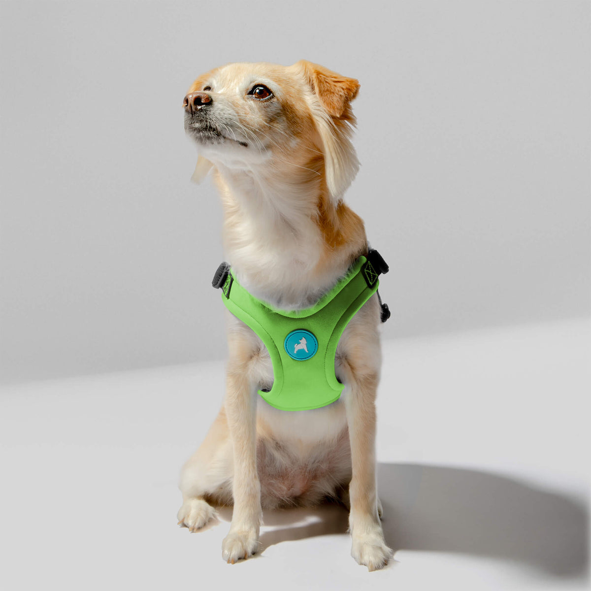 Escape Free Sport Harness